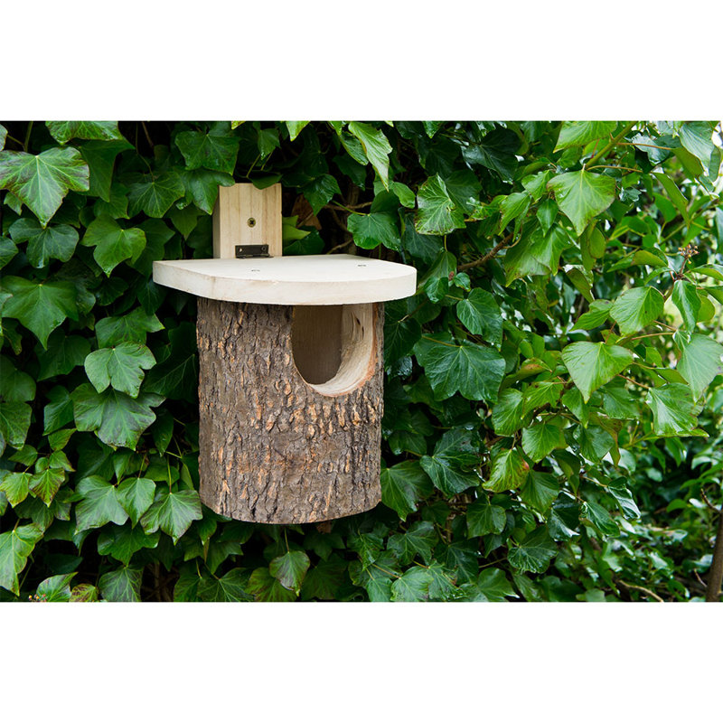 Sol 72 Outdoor Tjomme Mounted Bird House Wayfair.co.uk